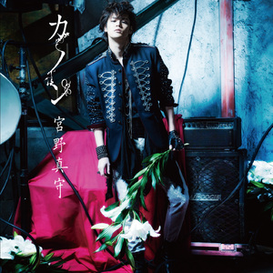 小泽彻主演的全部儿媳妇电视剧
